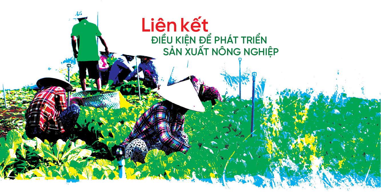 lien ket nong nghiepa-01.png